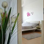 Rent 2 bedroom apartment of 77 m² in Prague