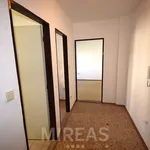 Rent 1 bedroom apartment of 29 m² in Milovice