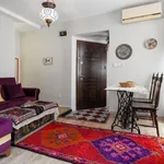 Rent 1 bedroom apartment in Istanbul