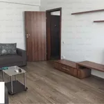 Rent 2 bedroom apartment of 65 m² in Pitești