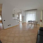 Rent 3 bedroom apartment of 80 m² in Trento