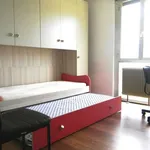 Rent a room of 115 m² in trento