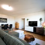 Rent 5 bedroom apartment of 70 m² in Wiener Neustadt