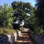 Trullo Sp22, Ceglie Messapica