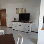 Rent 4 bedroom apartment of 100 m² in Siena