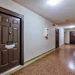 Rent 1 bedroom apartment in Hamilton