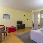 Rent 1 bedroom apartment of 45 m² in Milan