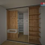 Rent 1 bedroom apartment of 44 m² in Capital City of Prague