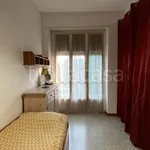 Rent 1 bedroom apartment of 30 m² in Torino