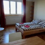 Studio of 32 m² in Prague