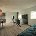 Kade, Steenbergen - Amsterdam Apartments for Rent