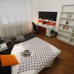 Rent a room in turin