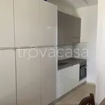 Rent 3 bedroom apartment of 65 m² in Pisa