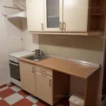 Rent 4 bedroom apartment of 9 m² in Budapest