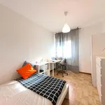 Rent 4 bedroom apartment in Padua