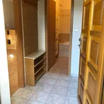 Rent 1 bedroom apartment in Brno