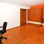 Rent 1 bedroom apartment of 38 m² in Prague