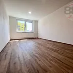 Rent 1 bedroom apartment in Chomutov