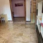 Rent 4 bedroom apartment of 120 m² in Piacenza