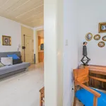 Rent 1 bedroom apartment in Lisbon