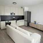 Pronajměte si 2 ložnic/e byt o rozloze 44 m² v Prague