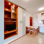 2-room flat via Giulio Cesare 1, Rivoltella, Desenzano del Garda