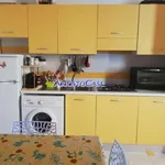 Rent 1 bedroom apartment of 43 m² in ferrara