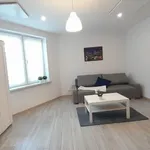 Rent 1 bedroom apartment of 27 m² in ul. Jagiellońska