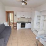 2-room flat excellent condition, first floor, Monsummano Terme