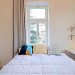 Rent 6 bedroom apartment in Prague