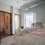 Rent 1 bedroom apartment in Minneapolis