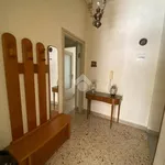 Rent 4 bedroom apartment of 100 m² in Palermo