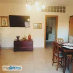 Rent 2 bedroom apartment of 60 m² in Rome