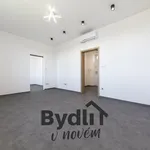 Pronájem bytu 2+1 45m²