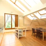 Rent 3 bedroom apartment of 122 m² in Prague