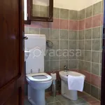 Rent 3 bedroom apartment of 65 m² in Terricciola