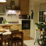 Rent 2 bedroom apartment of 75 m² in Roma