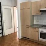 Rent 2 bedroom apartment of 51 m² in Graz