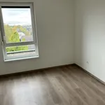 Appartement de 47 m² avec 3 chambre(s) en location à Strasbourg