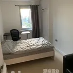 Rent 1 bedroom flat in Brighton