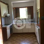 Rent 4 bedroom house of 250 m² in Μαλεσίνα