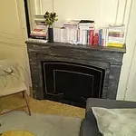 Rent 1 bedroom apartment of 18 m² in Lyon 1