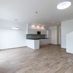 Rent 4 bedroom house in Praha - východ