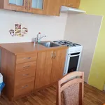 Rent 1 bedroom apartment in Pardubice