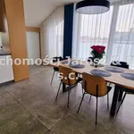 Rent 4 bedroom apartment of 140 m² in Częstochowa