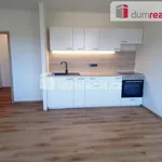 Rent 2 bedroom apartment of 47 m² in Ústí nad Labem