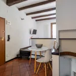 Rent 1 bedroom apartment of 55 m² in Bologna