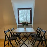 Rent 1 bedroom apartment of 50 m² in Hanover