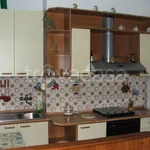 Rent 2 bedroom apartment of 65 m² in Torino