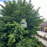 Rent 2 bedroom apartment of 78 m² in Langhirano